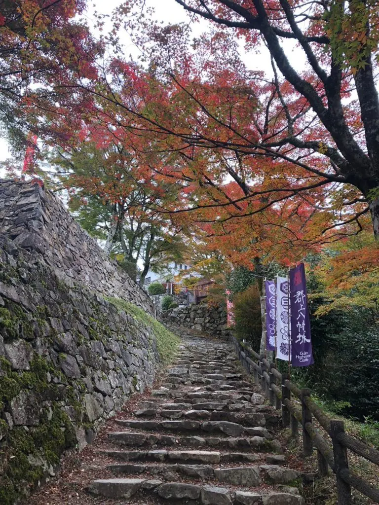 半幅帯 菱形 紅葉 楓 黒 臙脂色 リバーシブル 化繊 NO-1398 半幅帯 菱形 紅葉 楓 黒 臙脂色 リバーシブル 化繊 NO-1398の通販 by